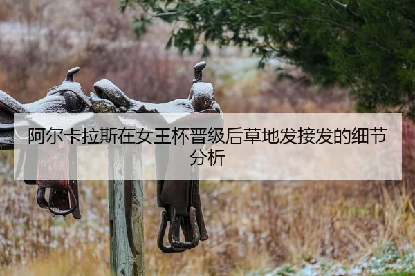 a-er-ka-la-si-zai-nv-wang-bei-jin-ji-hou-cao-di-fa-jie-fa-de-xi-jie-fen-xi-2-287.jpg